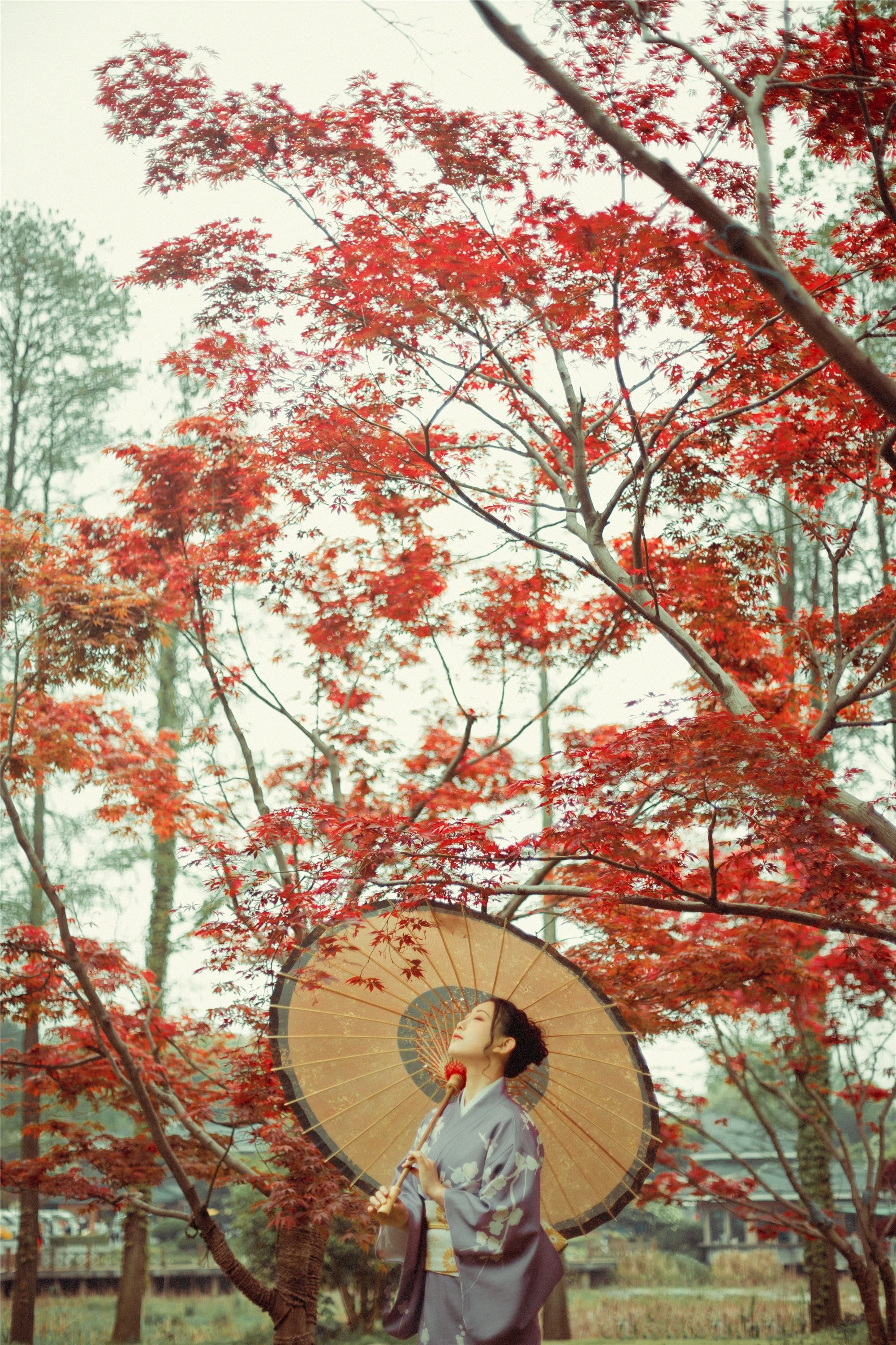 YITUYU艺图语 2021.09.02 红叶深处 没烦恼